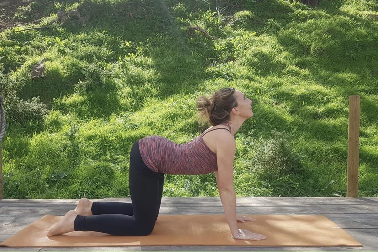 Yoga - cow position